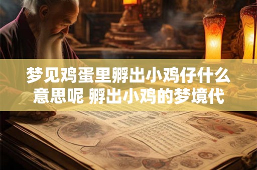 梦见鸡蛋里孵出小鸡仔什么意思呢 孵出小鸡的梦境代表什么 梦见鸡蛋里孵出小鸡仔什么意思呢 孵出小鸡的梦境代表什么