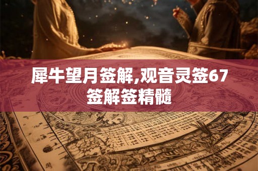 犀牛望月签解,观音灵签67签解签精髓