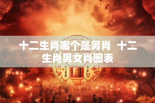 十二生肖哪个是男肖  十二生肖男女肖图表