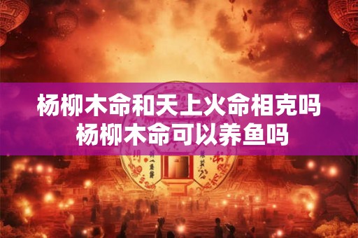 杨柳木命和天上火命相克吗 杨柳木命可以养鱼吗