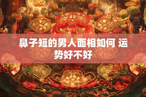 鼻子短的男人面相如何 运势好不好