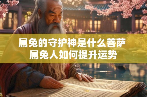 属兔的守护神是什么菩萨 属兔人如何提升运势