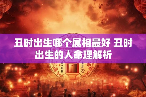 丑时出生哪个属相最好 丑时出生的人命理解析