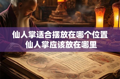 仙人掌适合摆放在哪个位置 仙人掌应该放在哪里