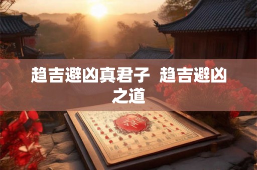 趋吉避凶真君子  趋吉避凶之道
