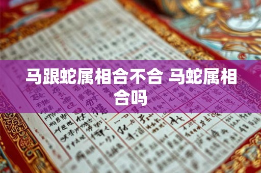 马跟蛇属相合不合 马蛇属相合吗