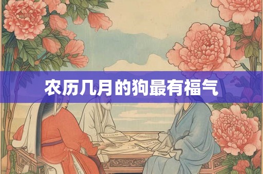 农历几月的狗最有福气