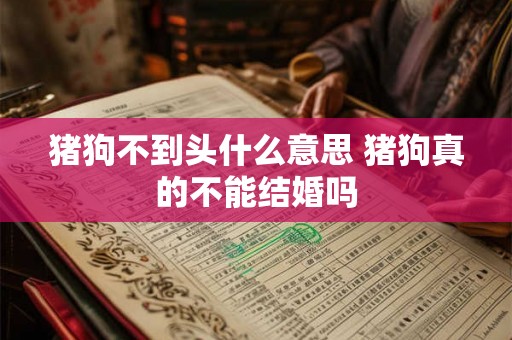 猪狗不到头什么意思 猪狗真的不能结婚吗 猪狗不到头什么意思 猪狗真的不能结婚吗
