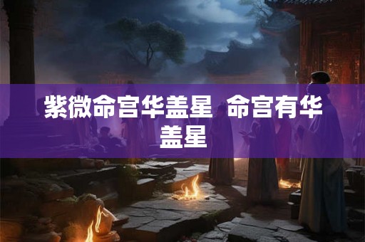 紫微命宫华盖星  命宫有华盖星