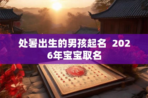 处暑出生的男孩起名  2026年宝宝取名