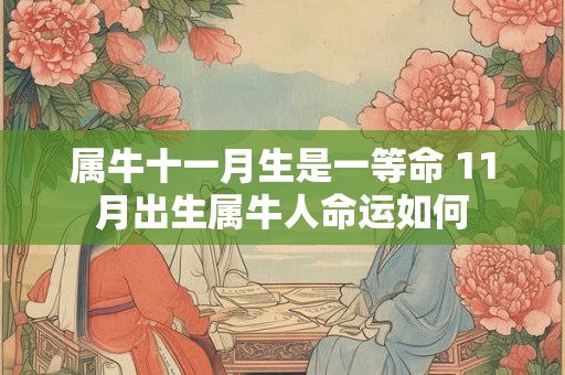 属牛十一月生是一等命 11月出生属牛人命运如何