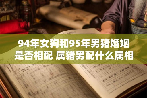 94年女狗和95年男猪婚姻是否相配 属猪男配什么属相好