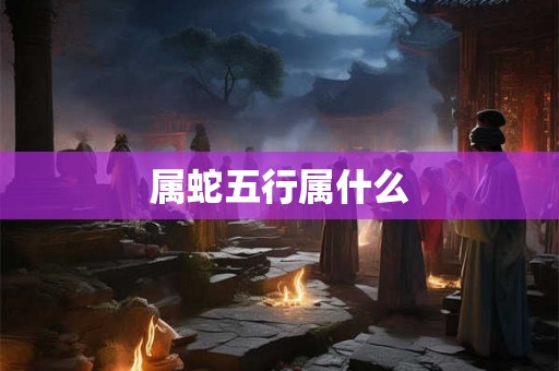 属蛇五行属什么