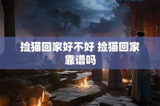 捡猫回家好不好 捡猫回家靠谱吗
