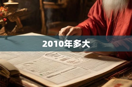 2010年多大