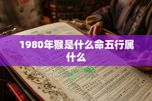 1980年猴是什么命五行属什么 1980年猴是什么命五行属什么