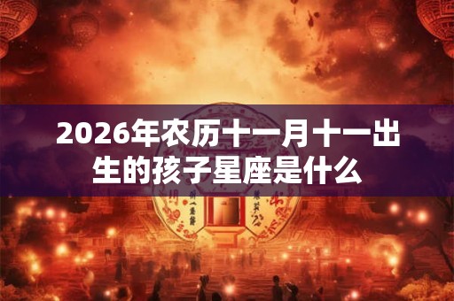 2026年农历十一月十一出生的孩子星座是什么