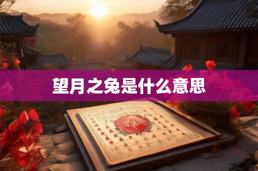 望月之兔是什么意思