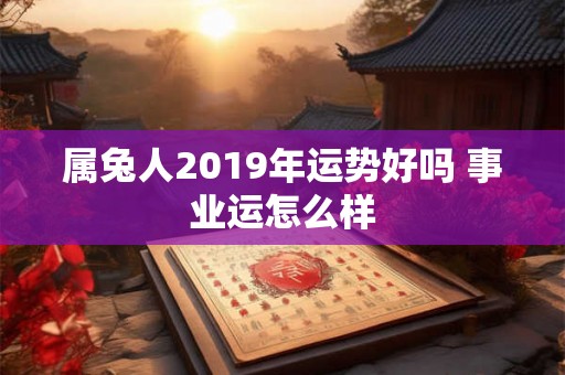 属兔人2019年运势好吗 事业运怎么样