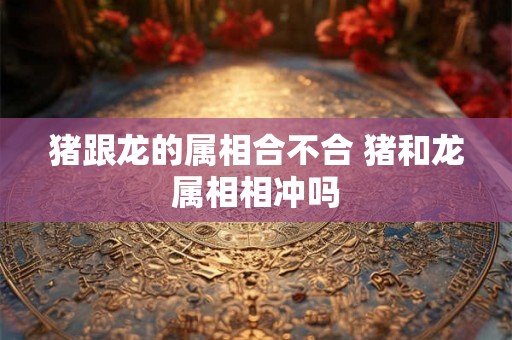 猪跟龙的属相合不合 猪和龙属相相冲吗