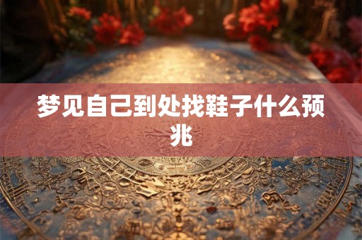 梦见自己到处找鞋子什么预兆