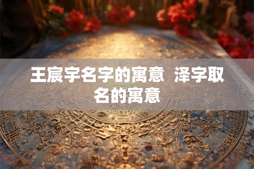 王宸宇名字的寓意  泽字取名的寓意