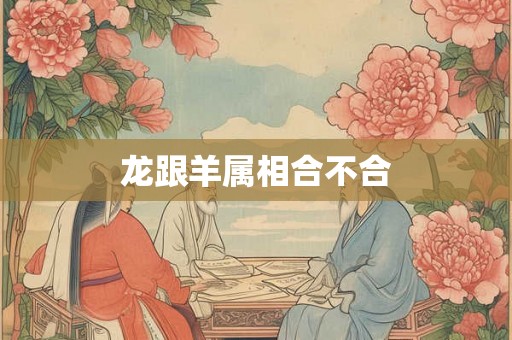 龙跟羊属相合不合