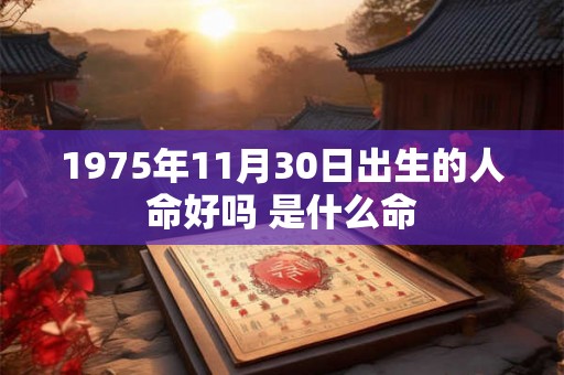 1975年11月30日出生的人命好吗 是什么命