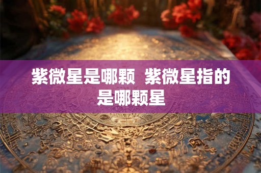 紫微星是哪颗  紫微星指的是哪颗星