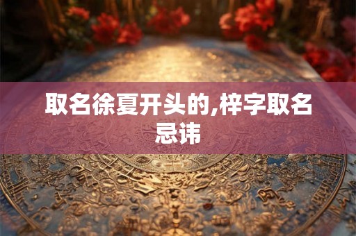 取名徐夏开头的,梓字取名忌讳