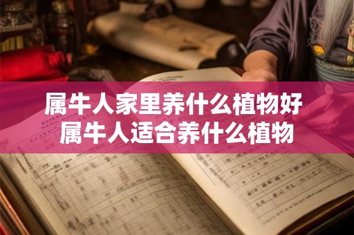 属牛人家里养什么植物好 属牛人适合养什么植物