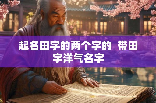 起名田字的两个字的  带田字洋气名字