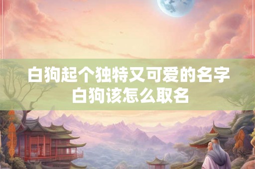 白狗起个独特又可爱的名字 白狗该怎么取名 白狗起个独特又可爱的名字 白狗该怎么取名