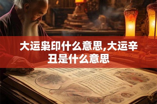 大运枭印什么意思,大运辛丑是什么意思