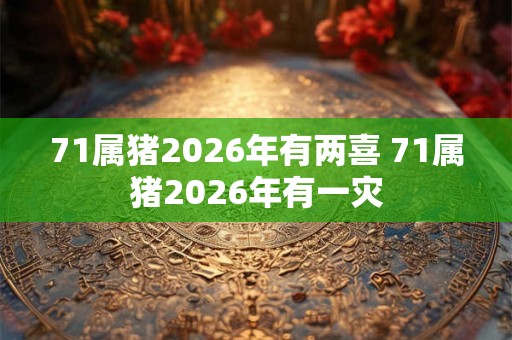 71属猪2026年有两喜 71属猪2026年有一灾