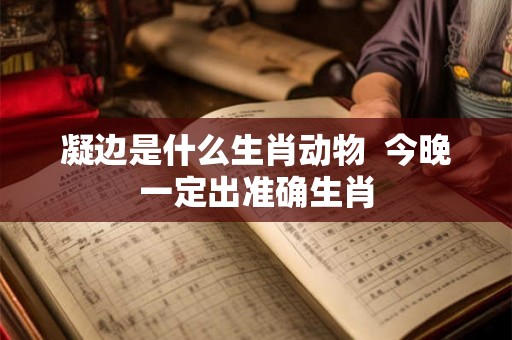凝边是什么生肖动物  今晚一定出准确生肖