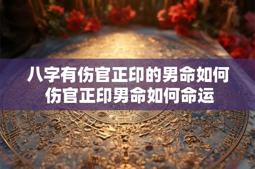 八字有伤官正印的男命如何 伤官正印男命如何命运