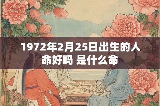 1972年2月25日出生的人命好吗 是什么命