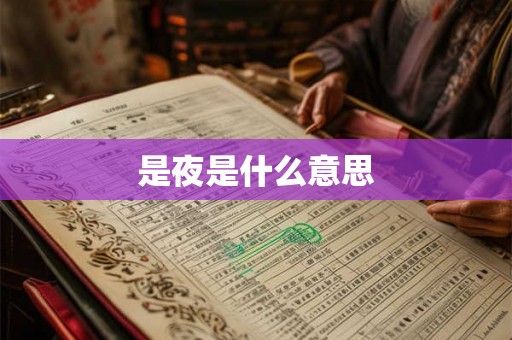 是夜是什么意思