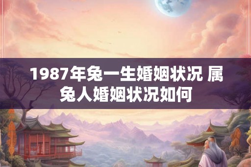 1987年兔一生婚姻状况 属兔人婚姻状况如何