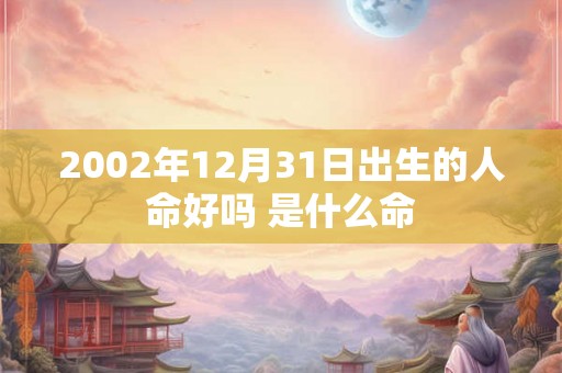 2002年12月31日出生的人命好吗 是什么命