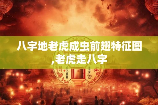 八字地老虎成虫前翅特征图,老虎走八字