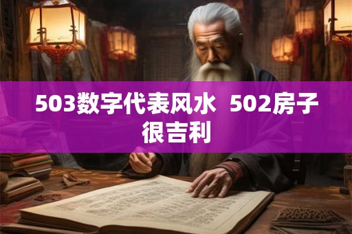 503数字代表风水 502房子很吉利 503数字代表风水 502房子很吉利