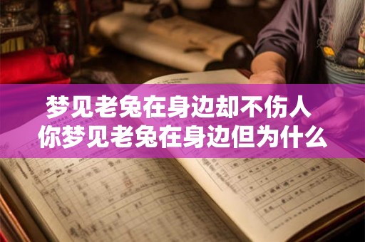 梦见老兔在身边却不伤人 你梦见老兔在身边但为什么它没有伤害你