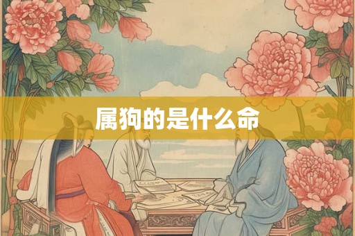 属狗的是什么命
