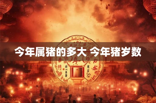 今年属猪的多大 今年猪岁数