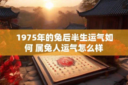 1975年的兔后半生运气如何 属兔人运气怎么样