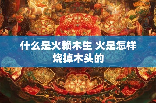 什么是火赖木生 火是怎样烧掉木头的