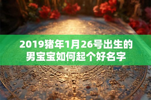 2019猪年1月26号出生的男宝宝如何起个好名字