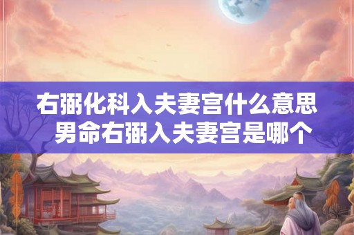 右弼化科入夫妻宫什么意思  男命右弼入夫妻宫是哪个出轨